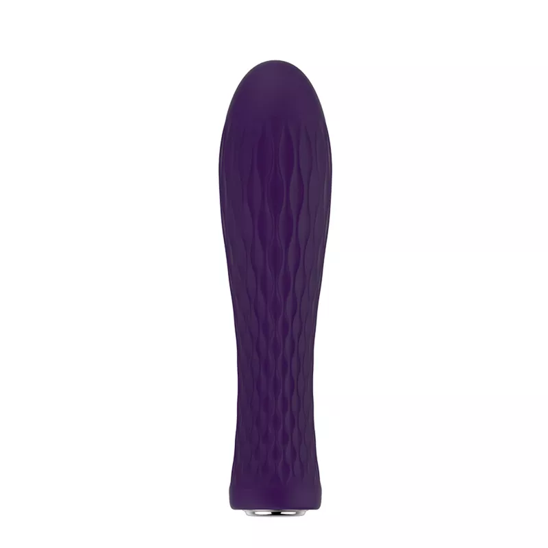 Nalone Ian Bullet Vibrator - Purple