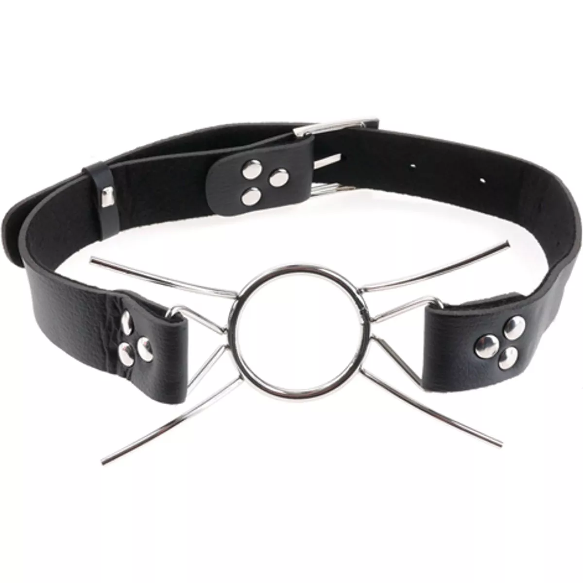 Spider Gag