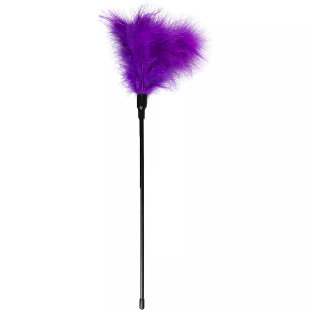 Pluma morada - Larga