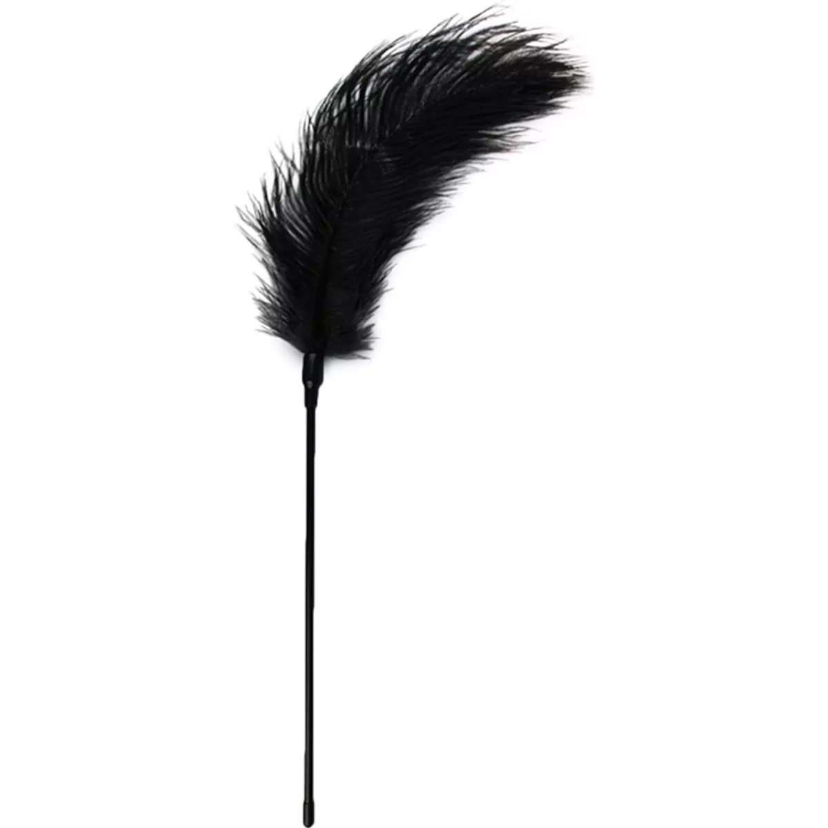 Pluma estimuladora negra
