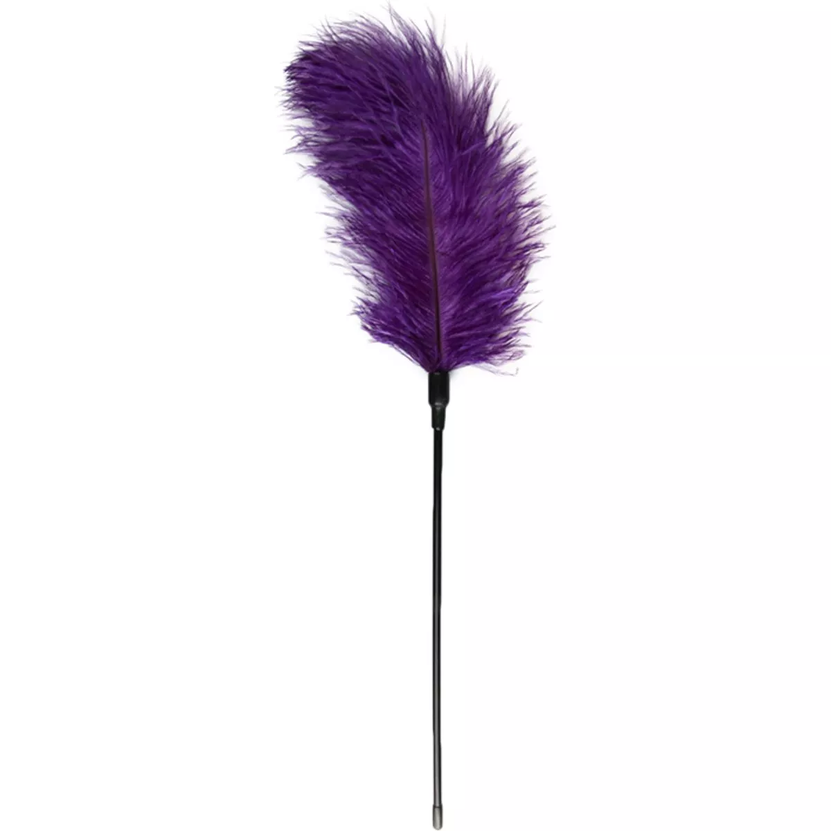 Pluma morada